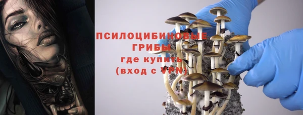 прущая мука Абинск