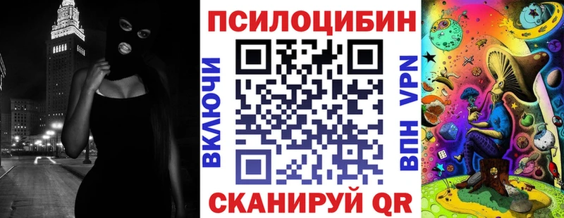 darknet какой сайт  как найти закладки  Кировград  Псилоцибиновые грибы мицелий 